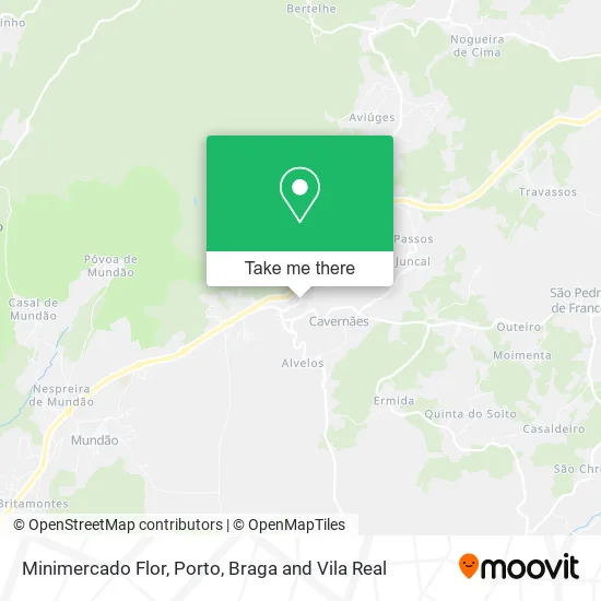 Minimercado Flor map