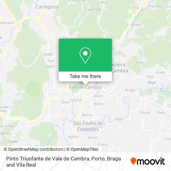 Pinto Triunfante de Vale de Cambra map