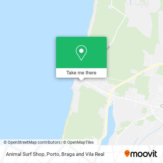 Animal Surf Shop map