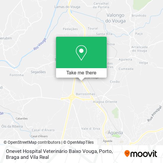 Onevet Hospital Veterinário Baixo Vouga map
