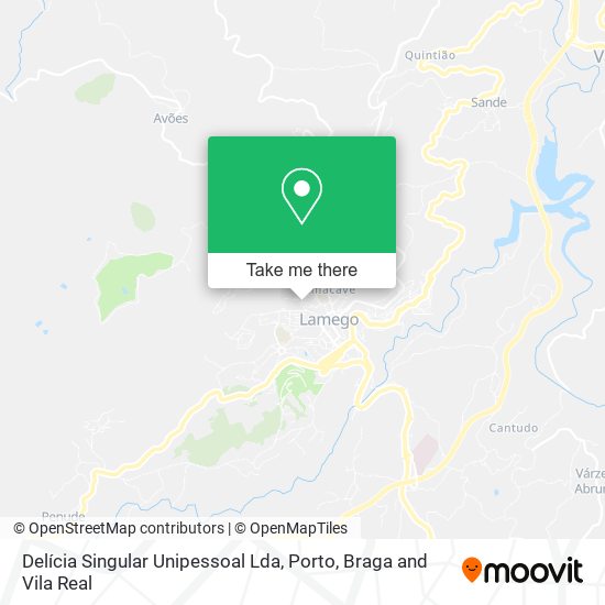 Delícia Singular Unipessoal Lda map