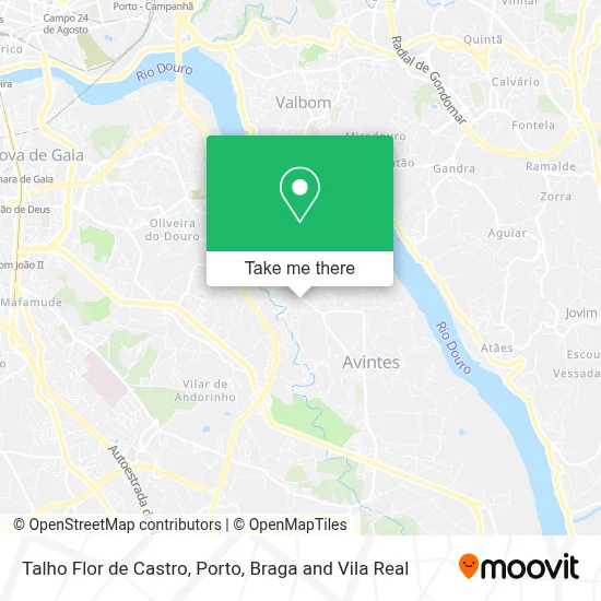 Talho Flor de Castro map