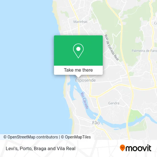 Levi's map