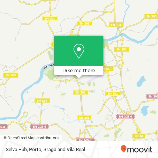 Selva Pub map