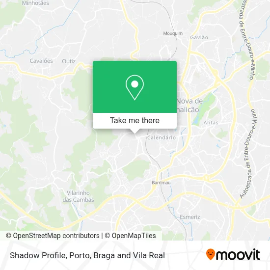 Shadow Profile map