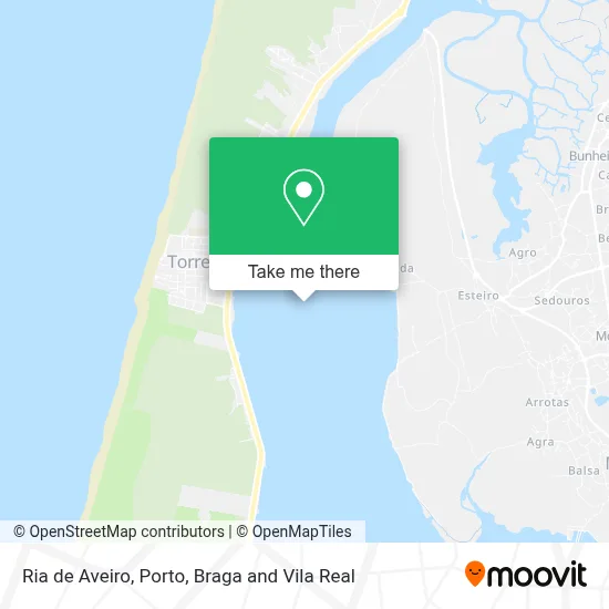 Ria de Aveiro map