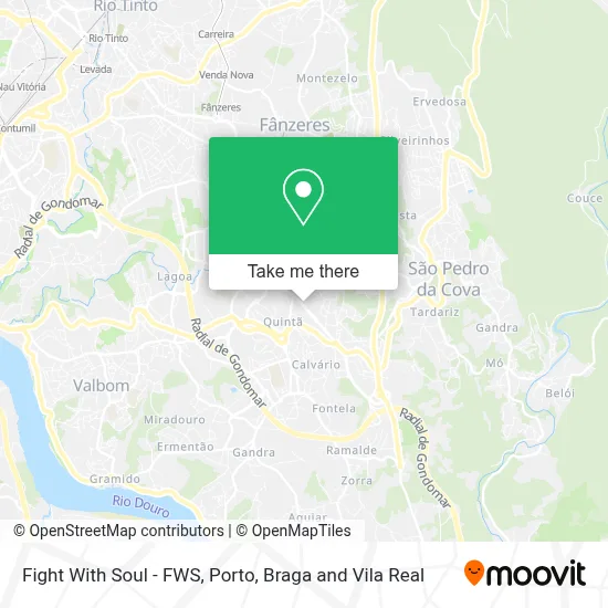 Fight With Soul - FWS map