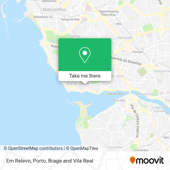 Em Relevo map