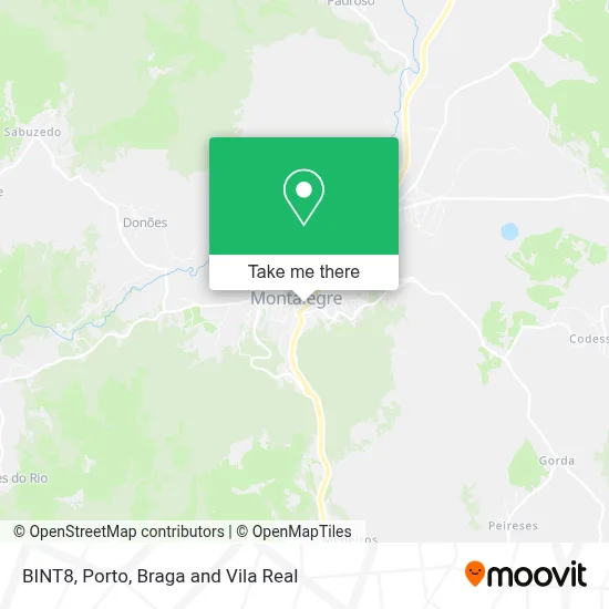 BINT8 map