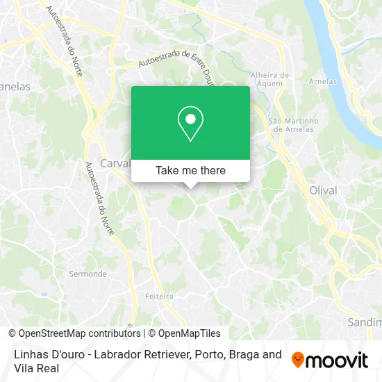 Linhas D'ouro - Labrador Retriever map