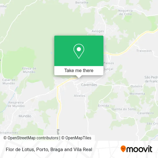 Flor de Lotus map