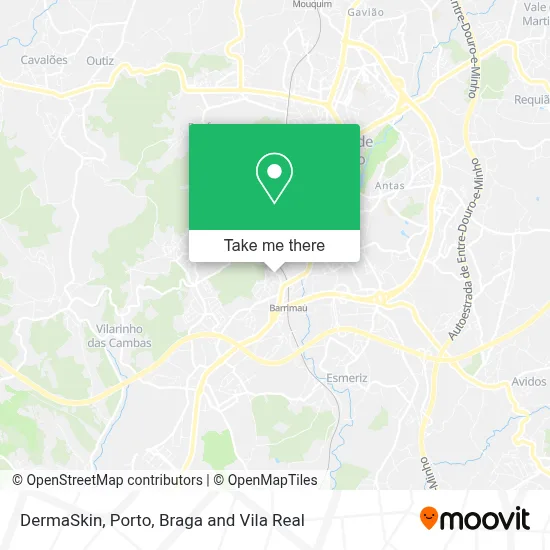 DermaSkin map