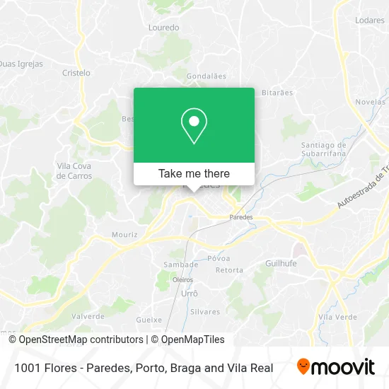 1001 Flores - Paredes map