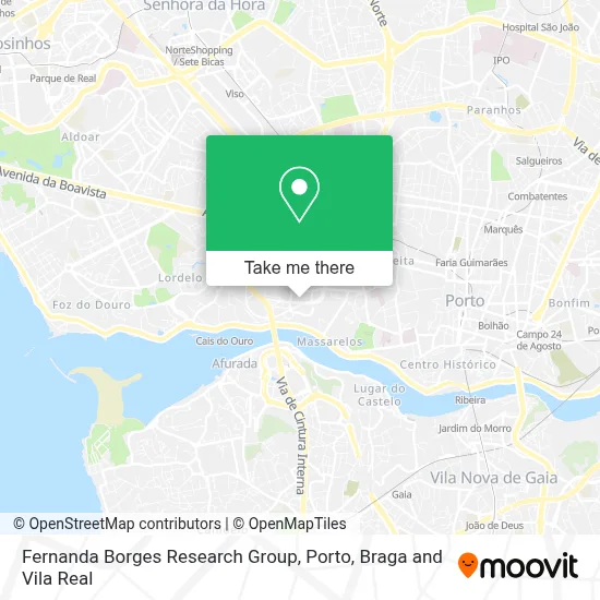 Fernanda Borges Research Group map
