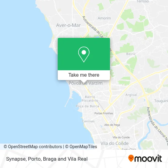 Synapse map