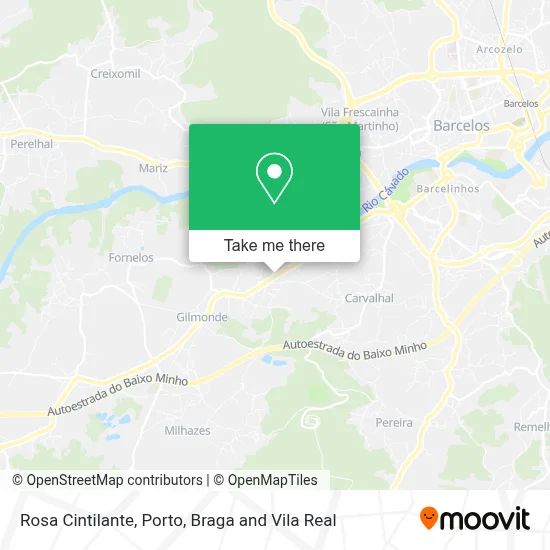 Rosa Cintilante map