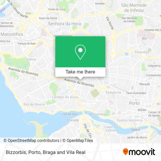 Bizzorbis map