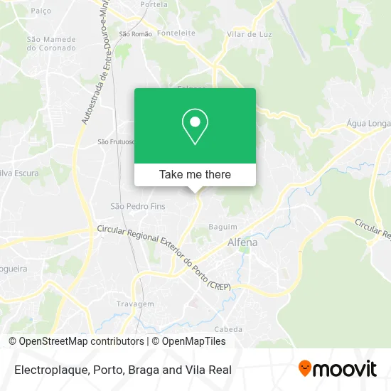 Electroplaque map