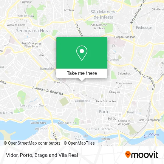 Vidor map