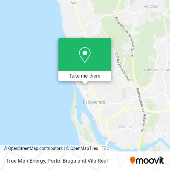 True Man Energy map