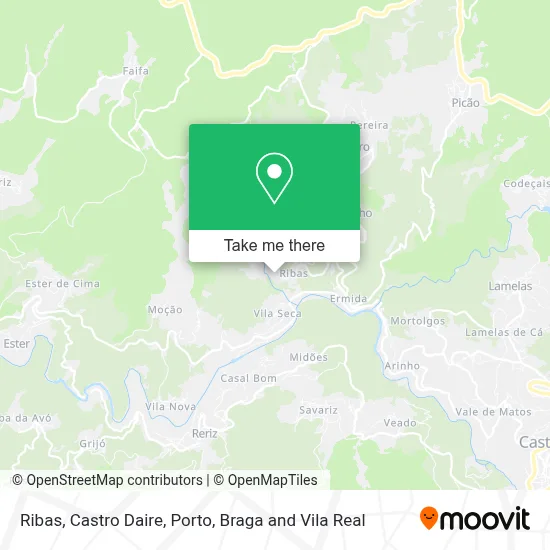 Ribas, Castro Daire map