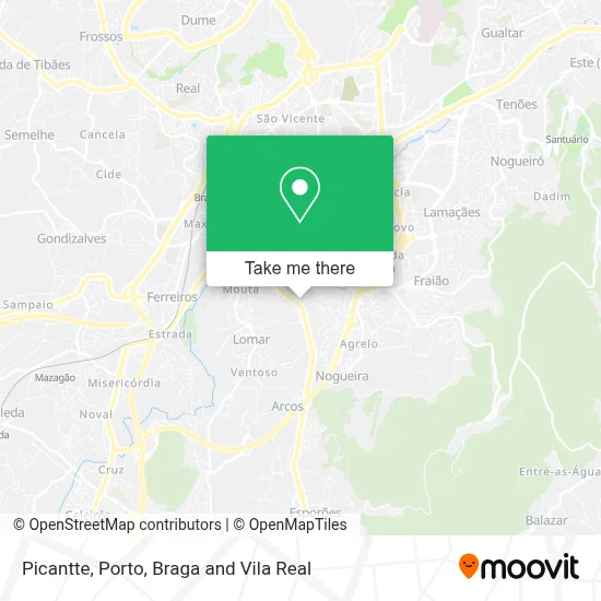 Picantte map