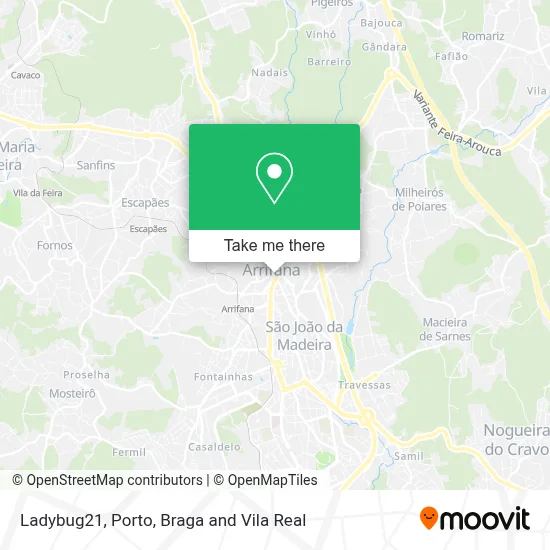 Ladybug21 map