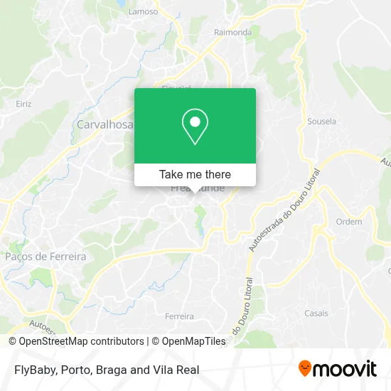 FlyBaby map
