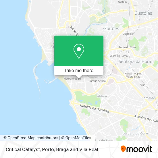 Critical Catalyst map