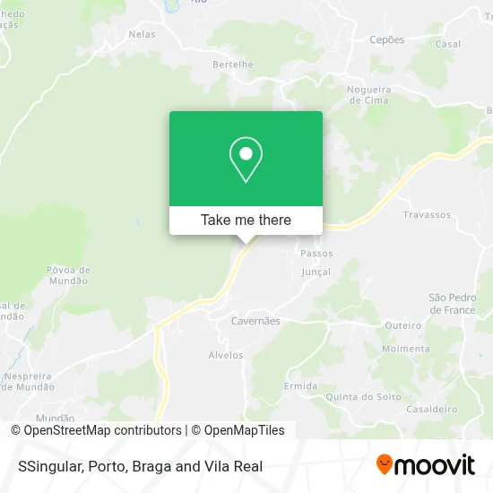 SSingular map
