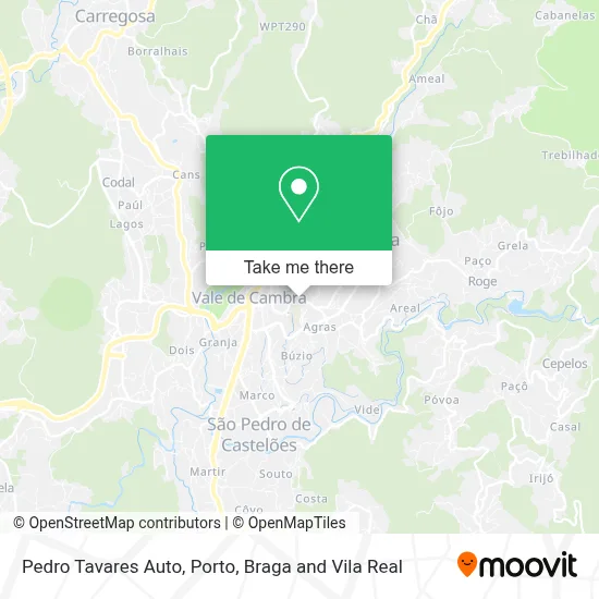 Pedro Tavares Auto map