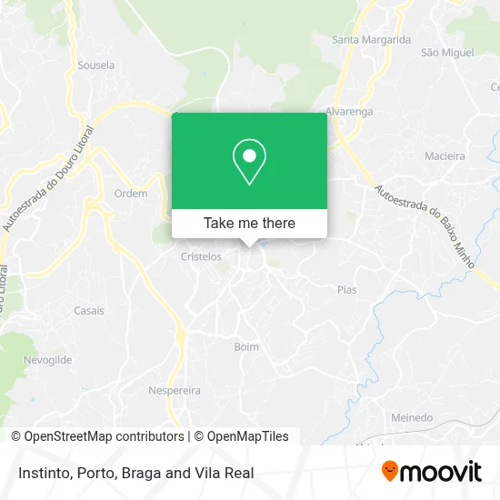 Instinto map