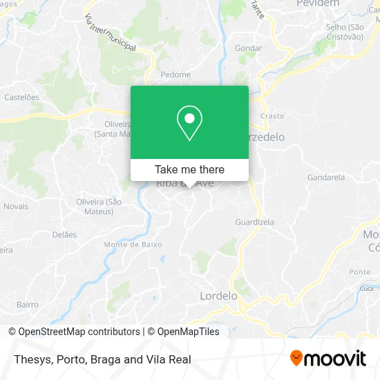 Thesys map