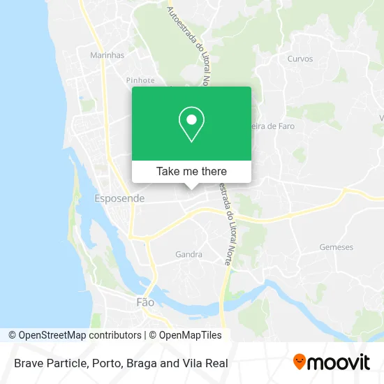 Brave Particle map