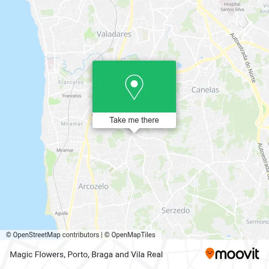 Magic Flowers map