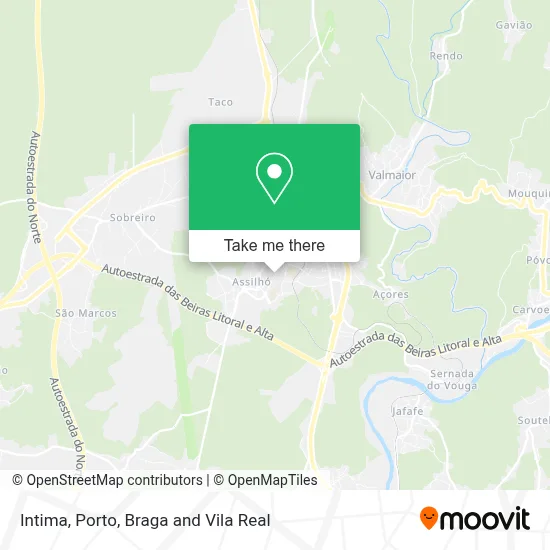 Intima map