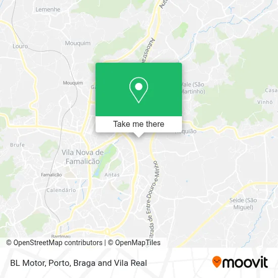 BL Motor map