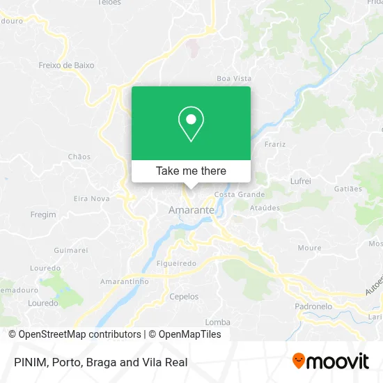 PINIM map