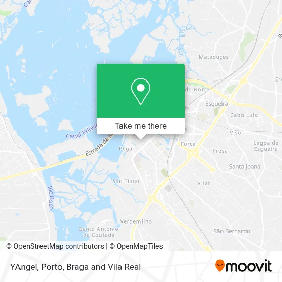 YAngel map