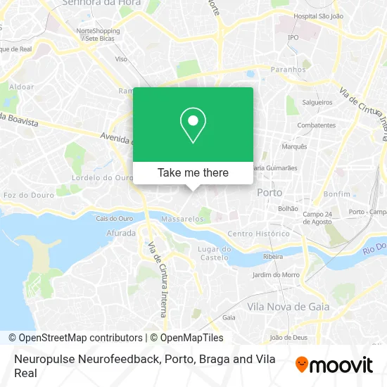 Neuropulse Neurofeedback map