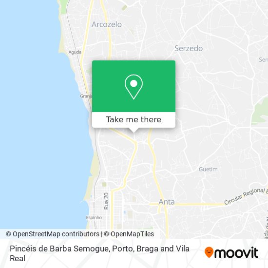 Pincéis de Barba Semogue map