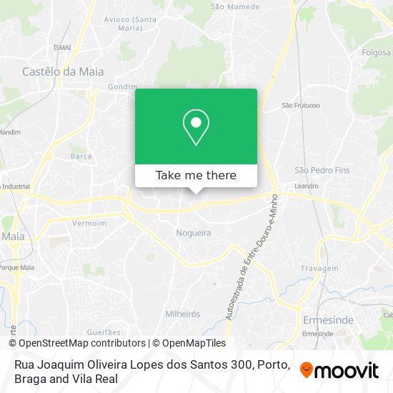Rua Joaquim Oliveira Lopes dos Santos 300 map