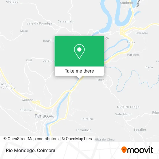 Rio Mondego map