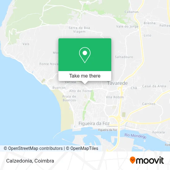 Calzedonia map