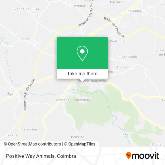 Positive Way Animals map
