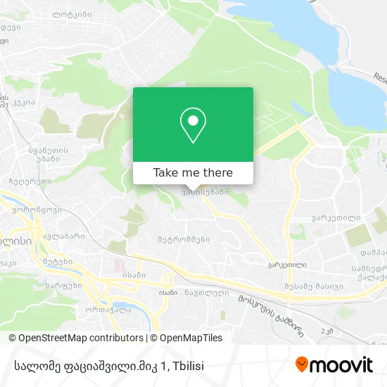 სალომე ფაციაშვილი.მიკ 1 map