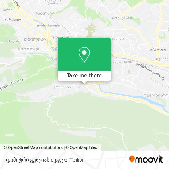 დიმიტრი გულიას ძეგლი map