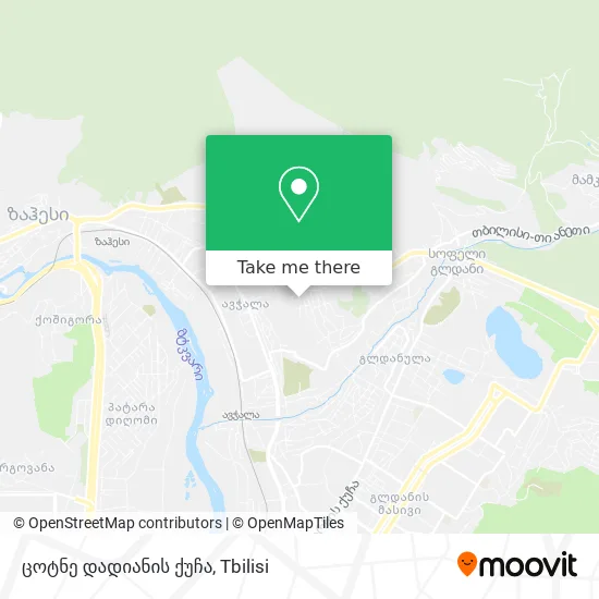 ცოტნე დადიანის ქუჩა map