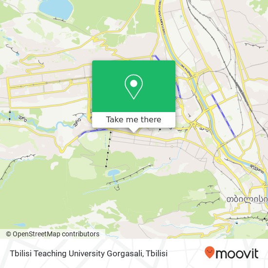 Tbilisi Teaching University Gorgasali map