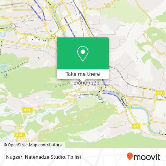 Nugzari Natenadze Studio map
